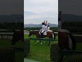 #誘導馬　#11r #芝　#阪神競馬場 #シロニイ