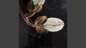 four 10th. of a thought