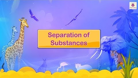 Separation of Substances | Science for Kids | Grade 4 | Periwinkle