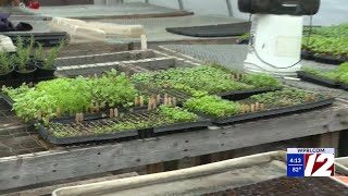 Globe RI with Amanda Milkovits: Farm Fresh RI is staying alive thanks to community members