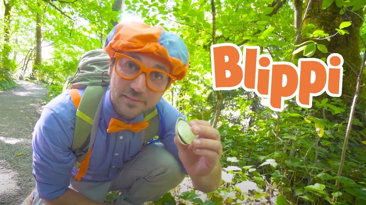 Blippi Hiking and Beach Clean Up - Blippi Visits | Educational Videos for Kids