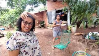 SLAUGHTER OF A ONE HUNDRED KILO PIG AT DEUSELENA'S HOUSE