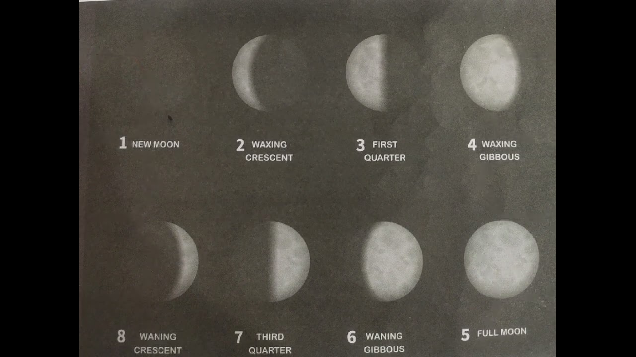 Phases and type of moon 🌝 knowledgeable