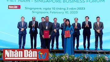 Đa dạng hóa, mở rộng đầu tư giữa doanh nghiệp Singapore và Việt Nam