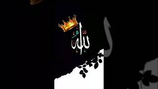Ay Sher-e-Arab #short #viral