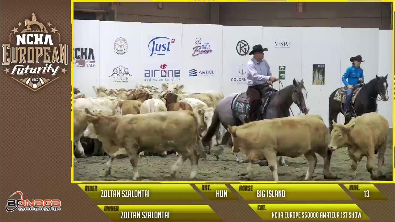 NCHA EUROPEAN FUTURITY 2022 YouTube