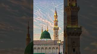 #quran #recitation #hottrend #new #viral