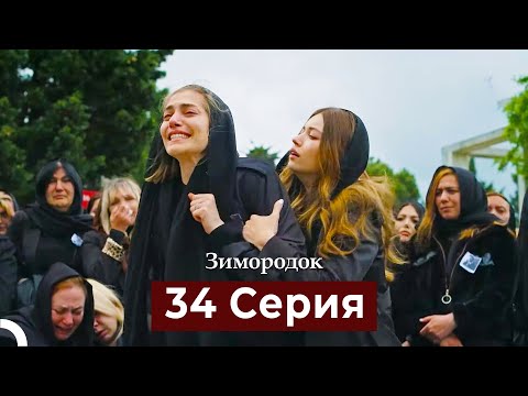 Зимородок 34 Cерия (Русский дубляж)