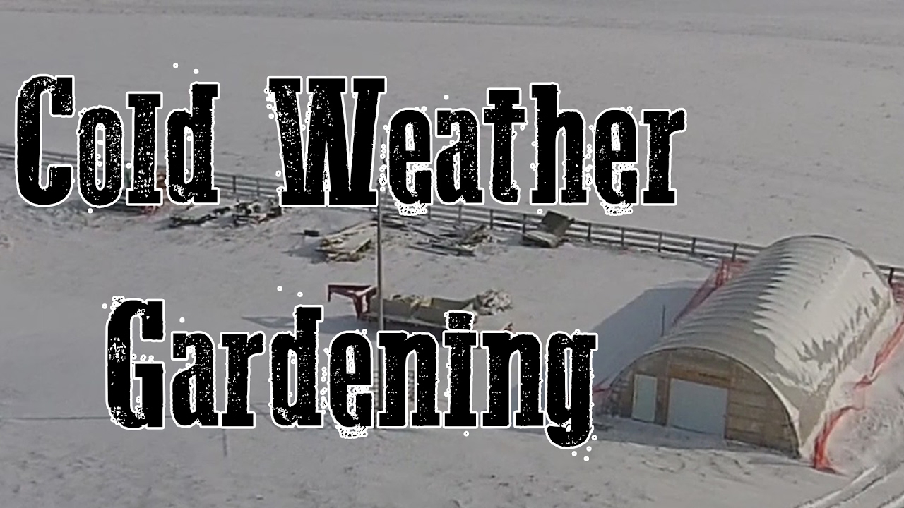 Cold Weather Gardening in the High Tunnel