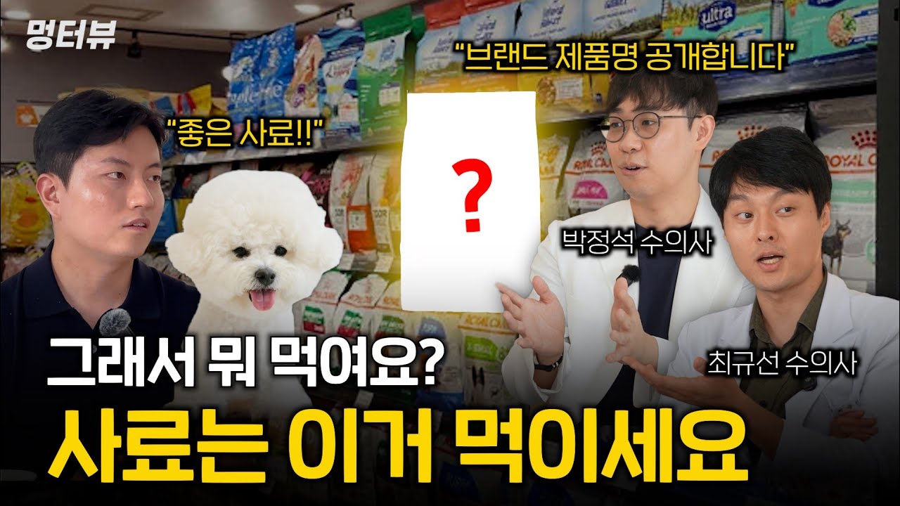 현직 수의사가 까다롭게 고른 사료들 공개합니다 (퍼피, 성견, 노견 이거 먹이세요) | 멍터뷰ep.35