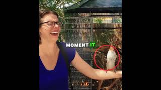 Wild animals reacting to their own reflection Part 2 #shorts #animals