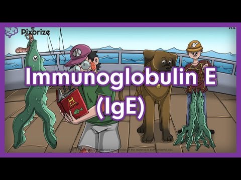 Immunoglobulin E (IgE) Mnemonic Preview for USMLE