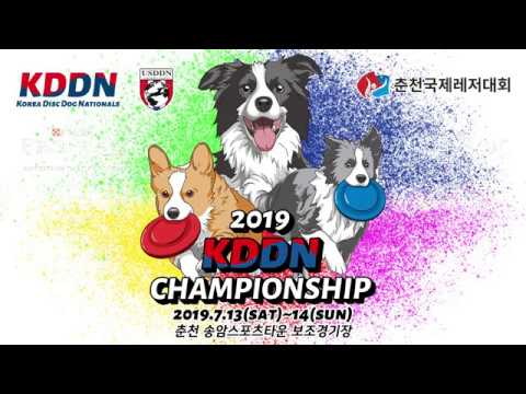 Kddn KDDN Championship teaser - YouTube