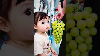 Tasty grapes 🙀~ Building Wooden Log Cabin in Forest | Survival House Step by Step 246