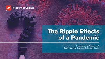 The Ripple Effects of a Pandemic