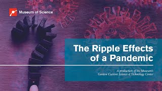The Ripple Effects of a Pandemic Net Worth