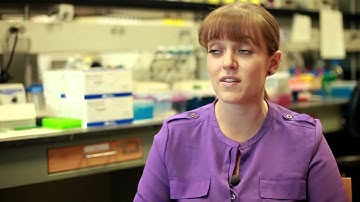 What is Environmental and Occupational Health