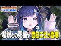 久々のAVAで徐々に感覚を取り戻してきて最強のAIMを見せつける紡木こかげ【ぶいすぽ/切り抜き/紡木こかげ/AVA/RAGE】