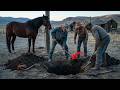Horse Kept Returning To The Same Spot — What Was Buried Changed Everything.