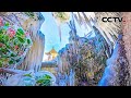 美成冰雪童话！江苏宿迁骆马湖现“冰凌”奇观 | CCTV