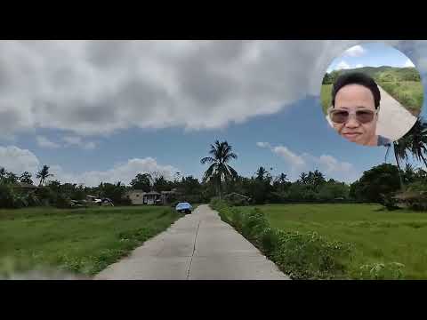 BEAUTIFUL SCENERY IN PROVINCE