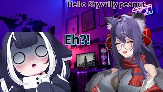 Numi join in the Shylily's stream to make fun of her chibi model shape