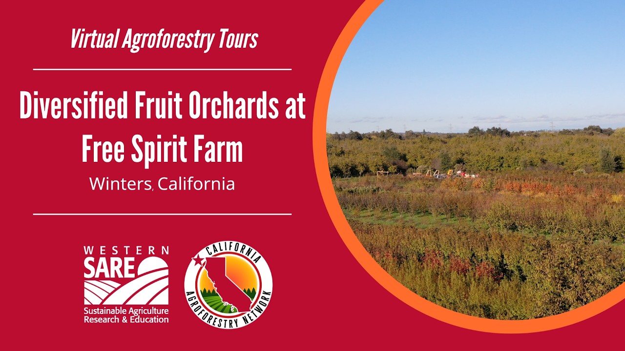 Diversified Fruit Orchards at Free Spirit Farm