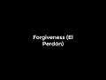 Forgiveness - El Perdón Lyric Video