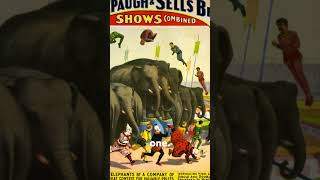 Why Everyone Blames Edison For This Elephant's Death