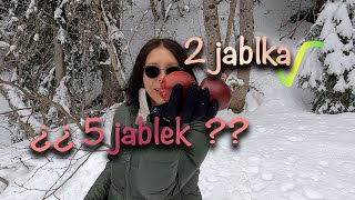 Czech numbers and numbered nouns: the case switch (from nominative to genitive) intermediate + 🩵🩵