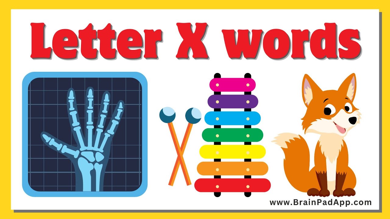 X letter words Words that start with letter X abcd YouTube