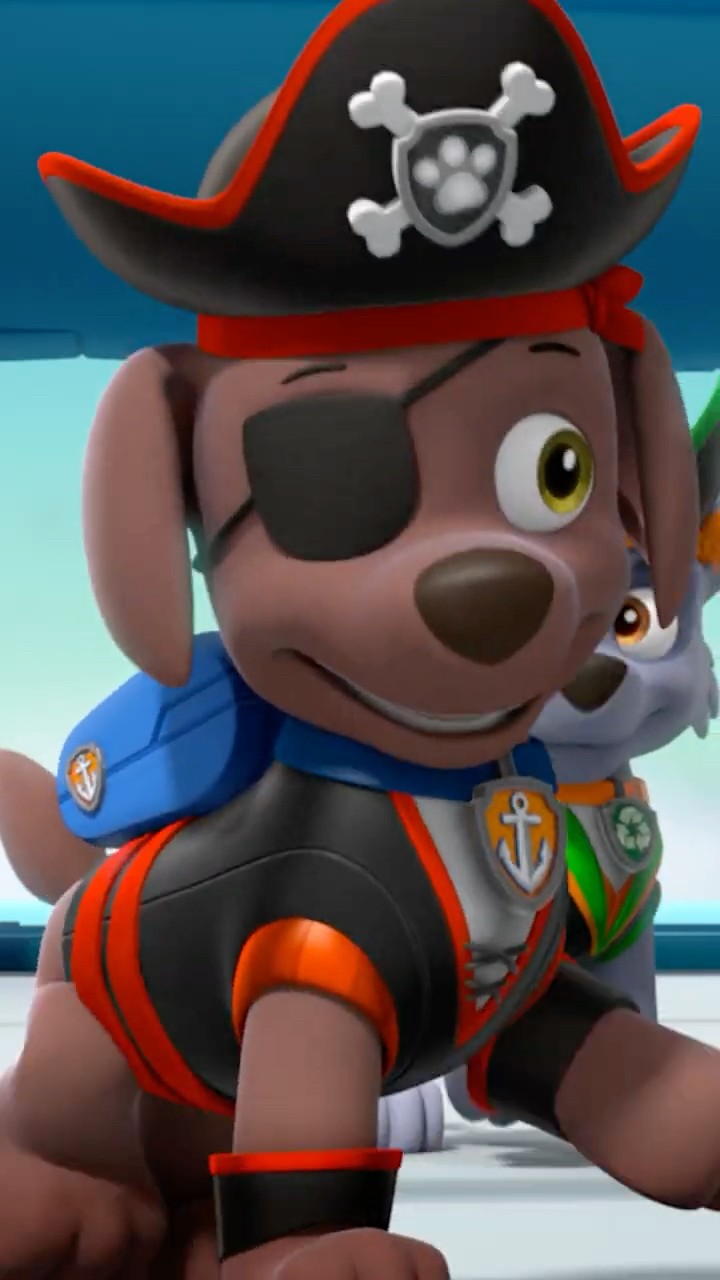 paw patrol pirate pups song! #shorts