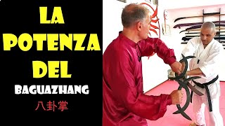 Kung Fu: Baguazhang Master Shows the Style