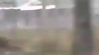 Download Lagu El sapek MP3