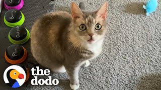 This Cat's Favorite Word Is Exactly What You'd Expect | The Dodo Cat Crazy