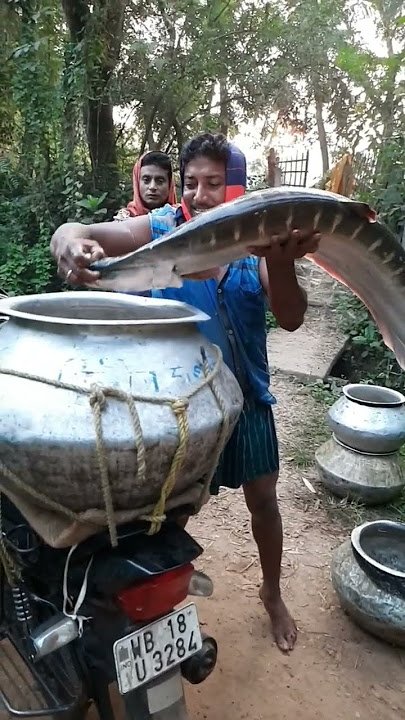 koto boro Chitol mach 😳😲