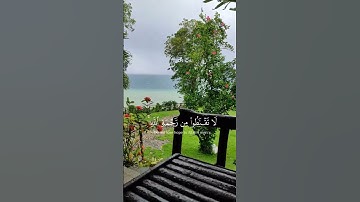 قل يا عبادي الذين أسرفو||تلاوة خاشعة //بصوت القارئ صالح اليافعي⏱️ثواني تريح الاعصاب 🎧🤍🌿