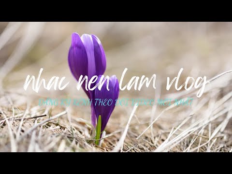 Nhạc nền làm