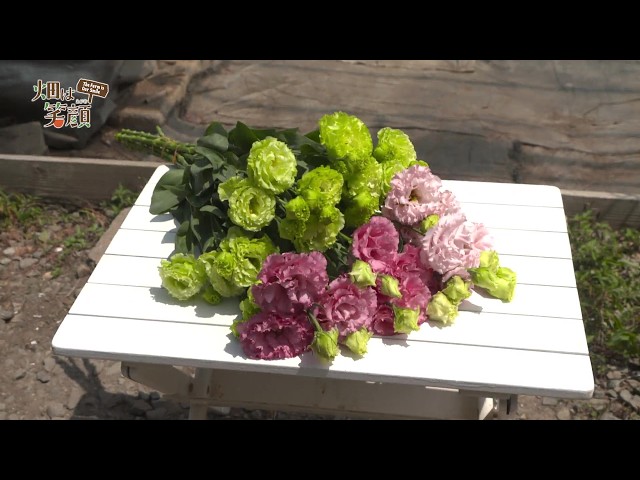 畑は笑顔 第266回 JAあきた湖東 トルコギキョウ - YouTube