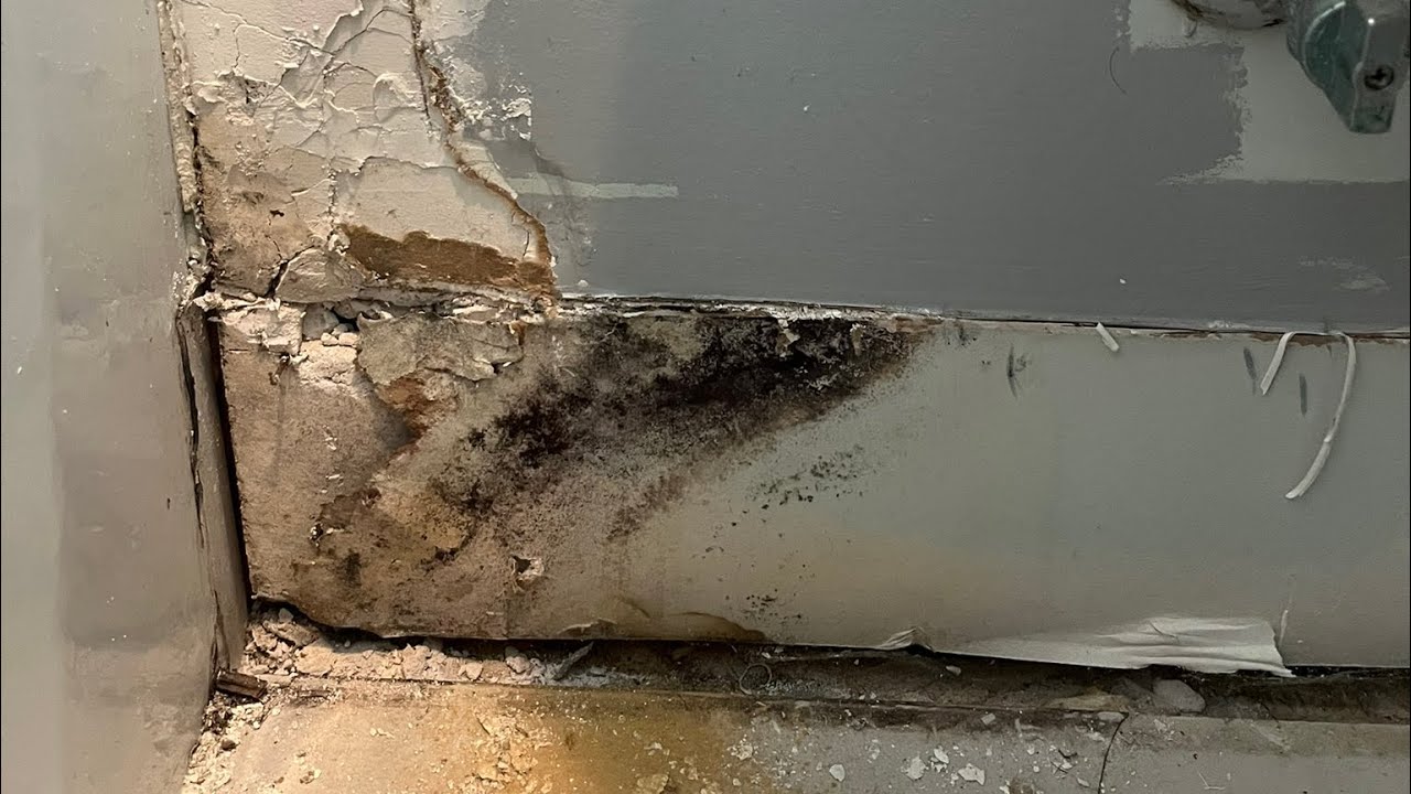 How to Remove Mold from Bathroom Baseboards | Easy DIY Mold Removal Tutorial