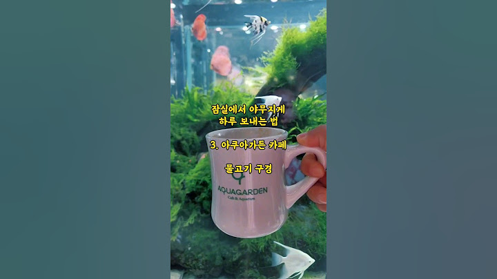 잠실 실내 데이트 코스 카페 맛집 #서울여행 #맛집투어