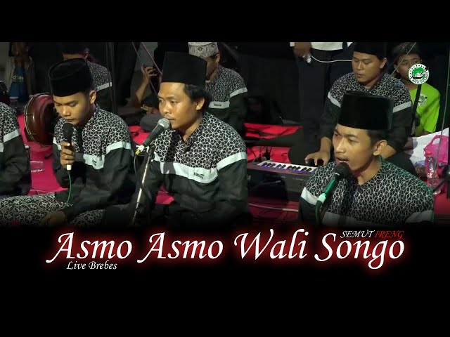 ASMO ASMO WALISONGO || SEMUT IRENG class=