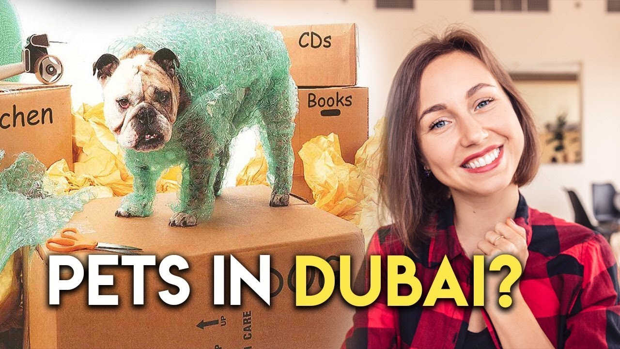 Are Huskies Allowed In Dubai?