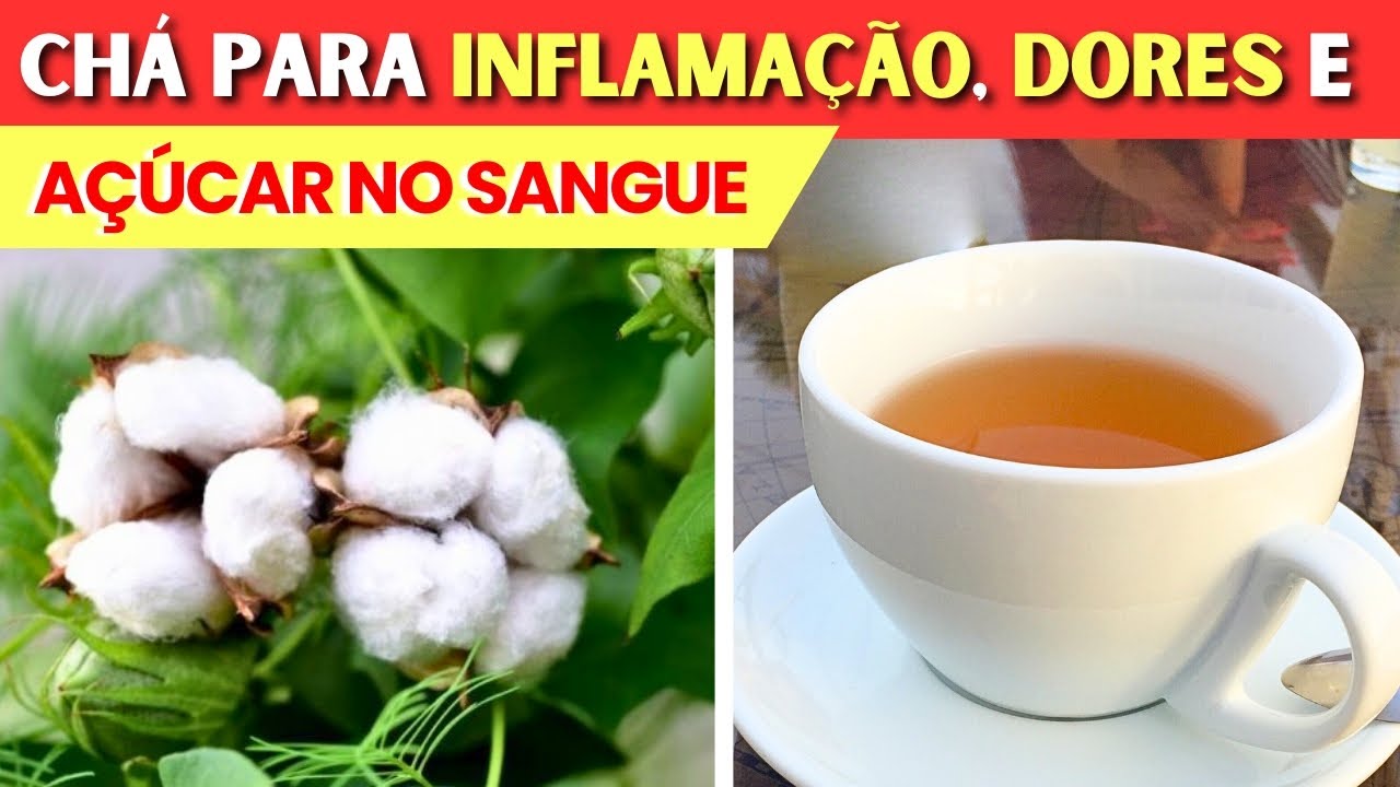 CHÁ da FOLHA DE ALGODÃO para Inflamação, Dores, Açúcar no Sangue ...