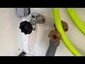Broken frost free hose bib