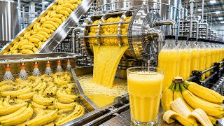 How Millions of Bananas Are Turned Into Juice in America | Inside a Modern Factory