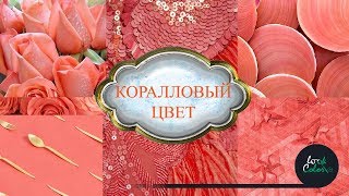 Коралловый цвет: оттенки и их сочетание. Палитры, одежда, интерьер