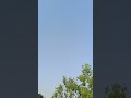 Sohk #kabutarandekabdetehain #kabootar 💪💪🕊️🕊️🪽🪽🪽🪽🕊️ #pigeon