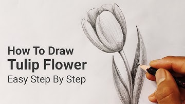 How To Draw Tulip Flower Easy Step By Step | Nature Drawing Lesson 3 | Art tutorials