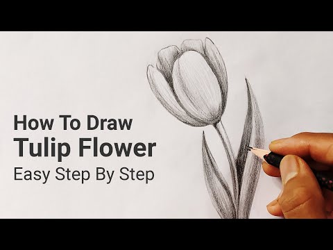 Video: How To Draw A Tulip With A Pencil